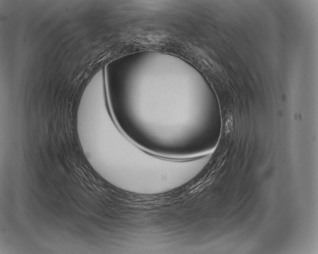 X0000086341156200703300949
