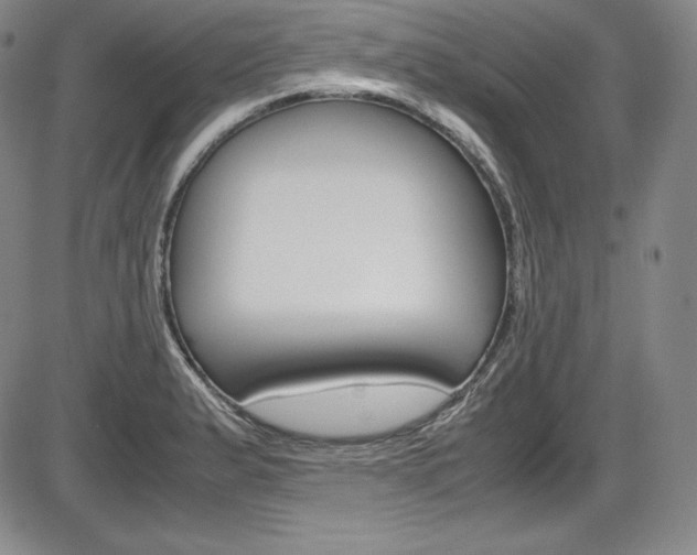 X0000086341183200703300949