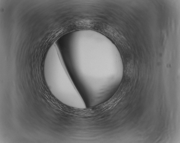 X0000086341201200703300948