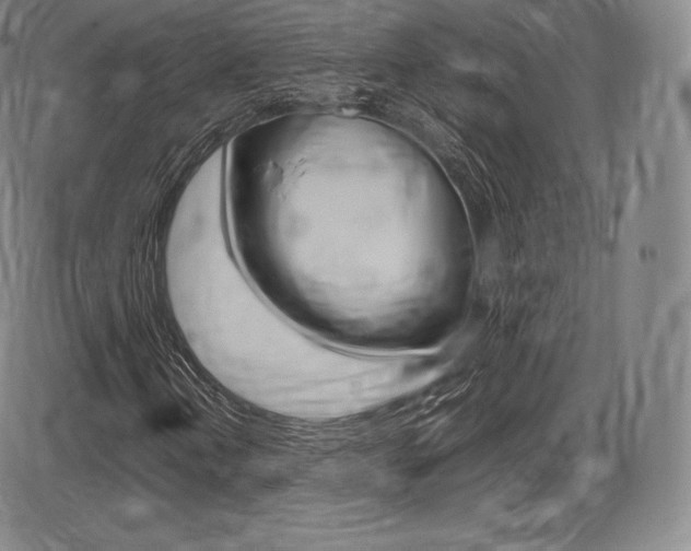 X0000086341202200703300948