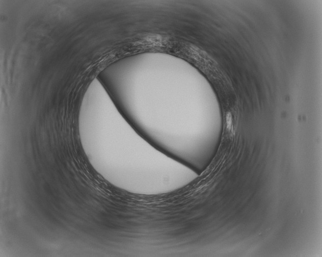 X0000086341203200703300948