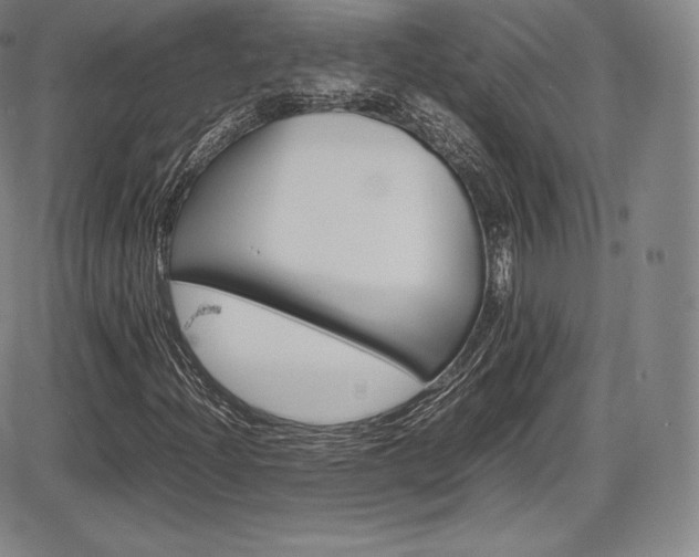 X0000086341204200703300948