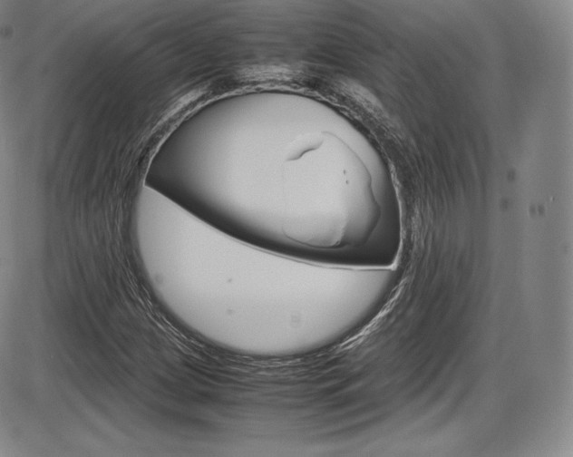 X0000086341209200703300948