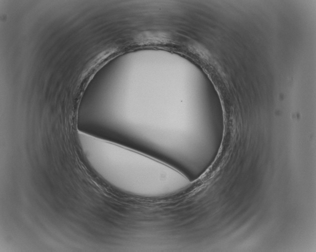 X0000086341217200703300948