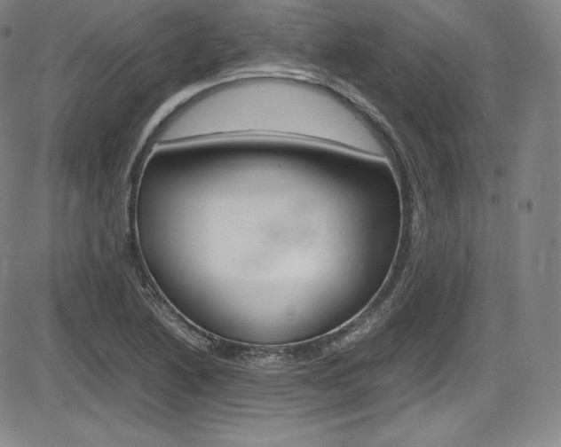 X0000086341222200703300948