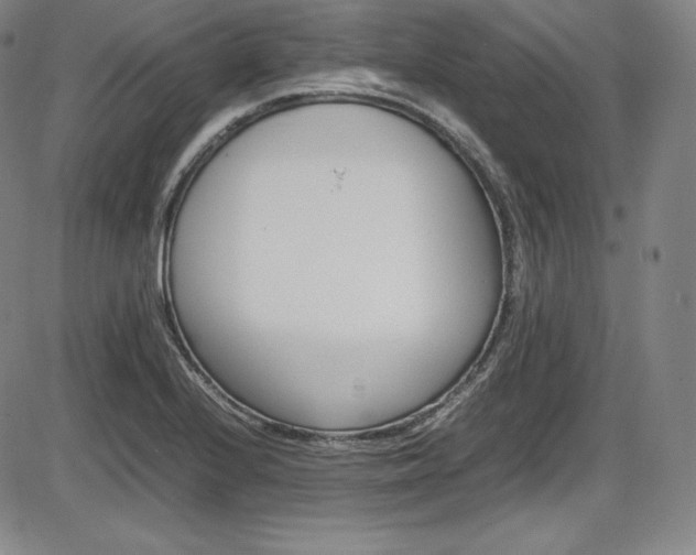 X0000086341224200703300948