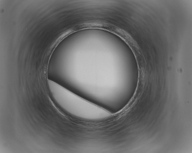 X0000086341225200703300948