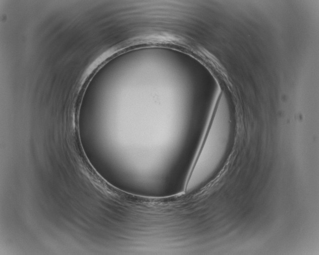X0000086341226200703300948