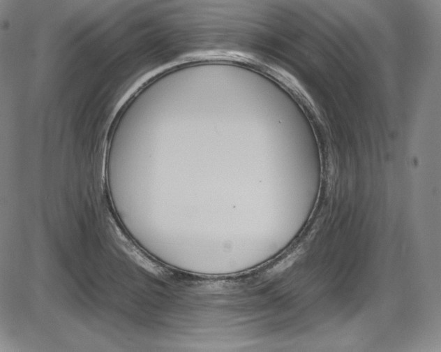 X0000086341228200703300948