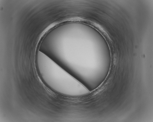 X0000086341229200703300948