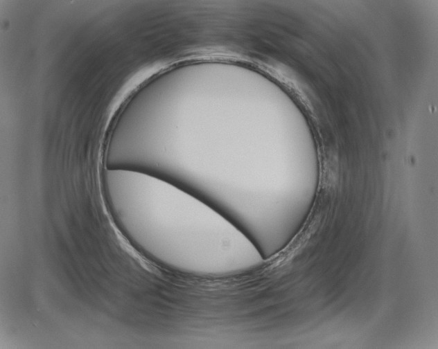 X0000086341231200703300948