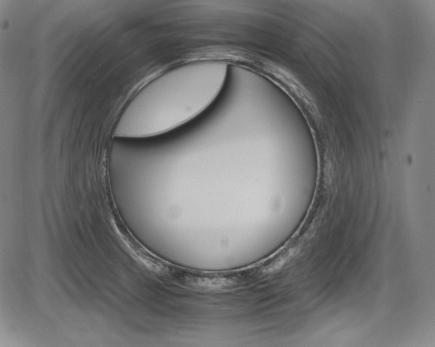 X0000086341233200703300948