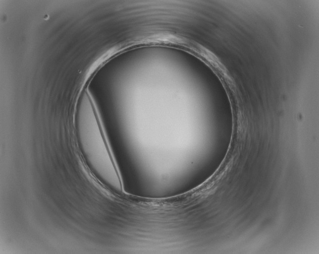 X0000086341234200703300948