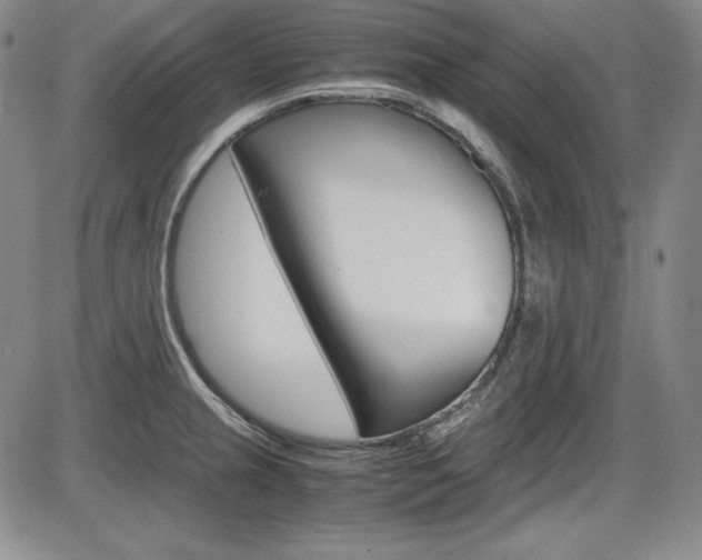 X0000086341237200703300948