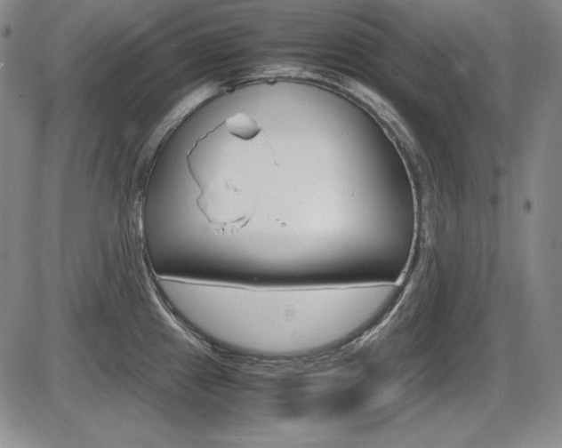 X0000086341241200703300948