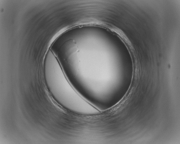 X0000086341242200703300948