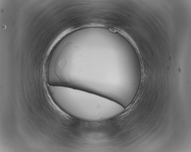X0000086341243200703300948