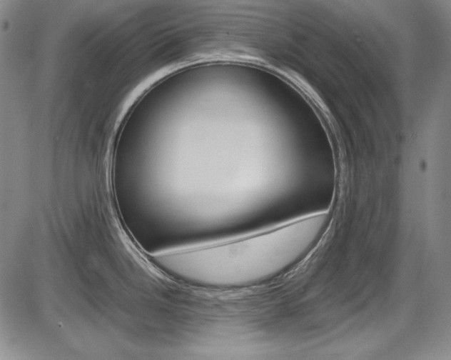 X0000086341246200703300948