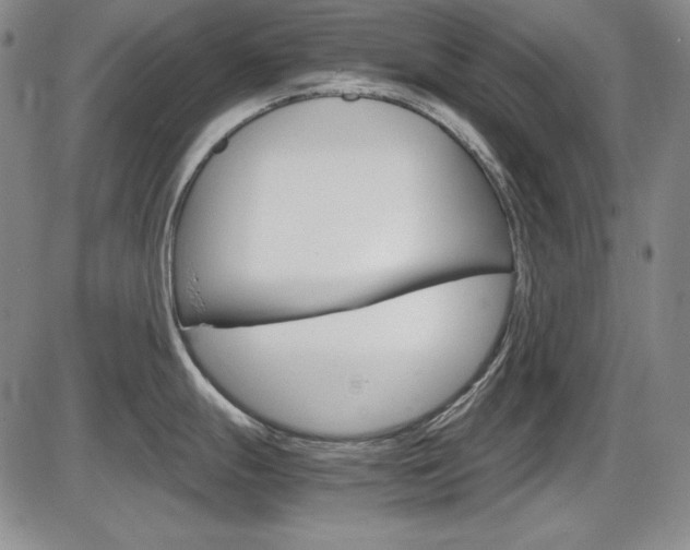 X0000086341247200703300948