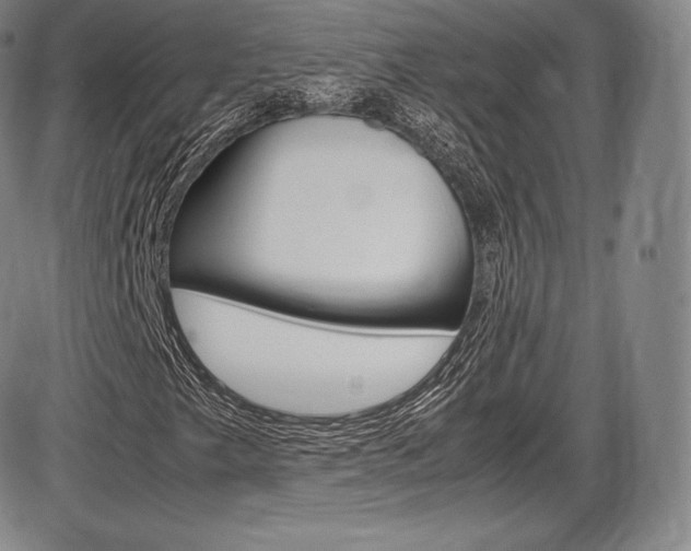 X0000086341249200703300948