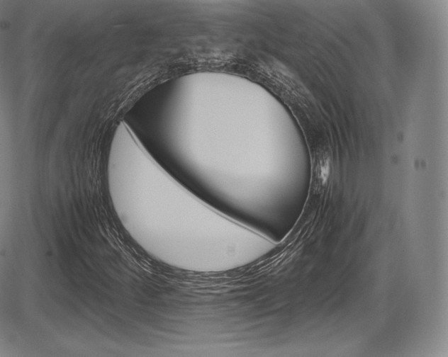 X0000086341252200703300948