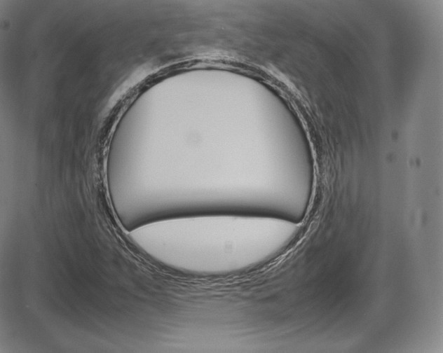 X0000086341263200703300947