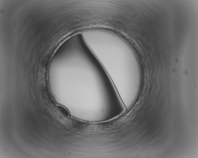 X0000086341265200703300947