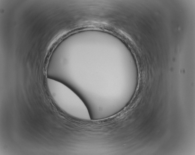 X0000086341267200703300947