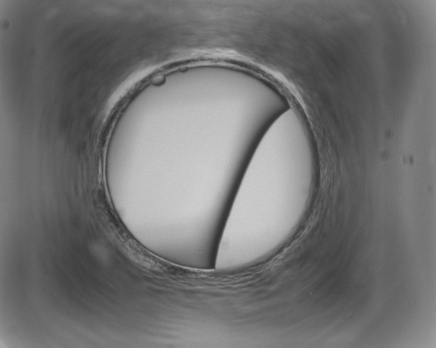 X0000086341271200703300947