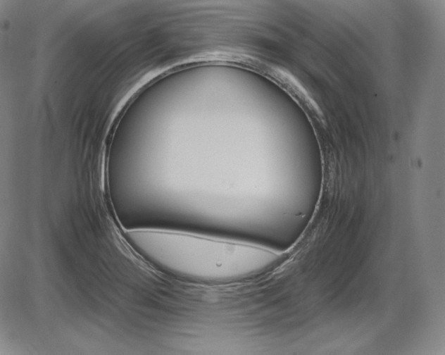 X0000086341276200703300947