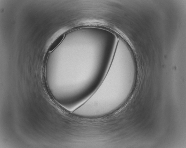 X0000086341277200703300947