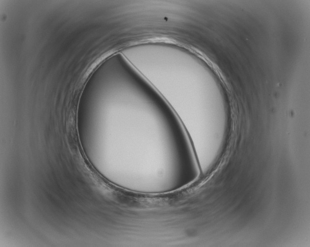 X0000086341281200703300947
