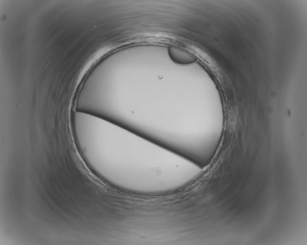 X0000086341283200703300947