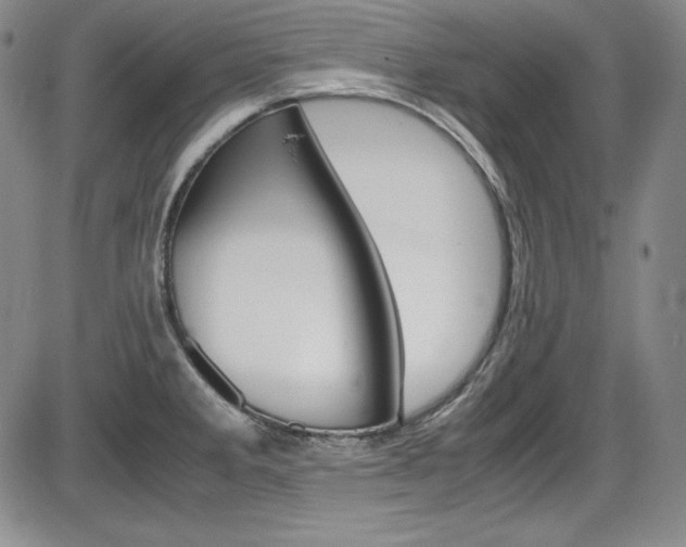 X0000086341285200703300947