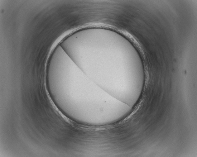 X0000086341286200703300947