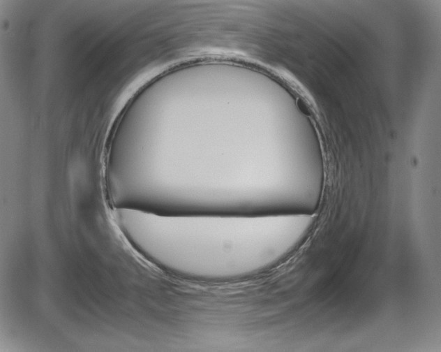 X0000086341287200703300947