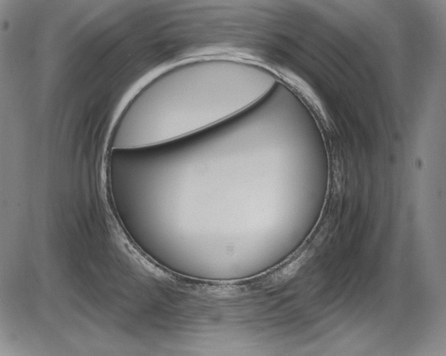 X0000086341288200703300947