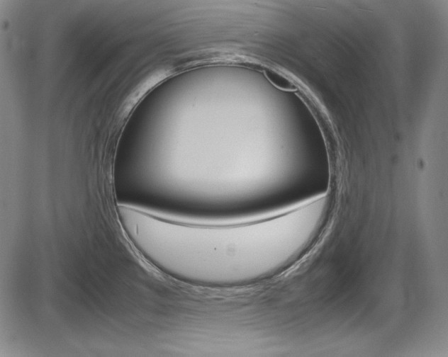 X0000086341289200703300947