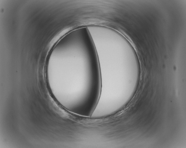X0000086341293200703300947