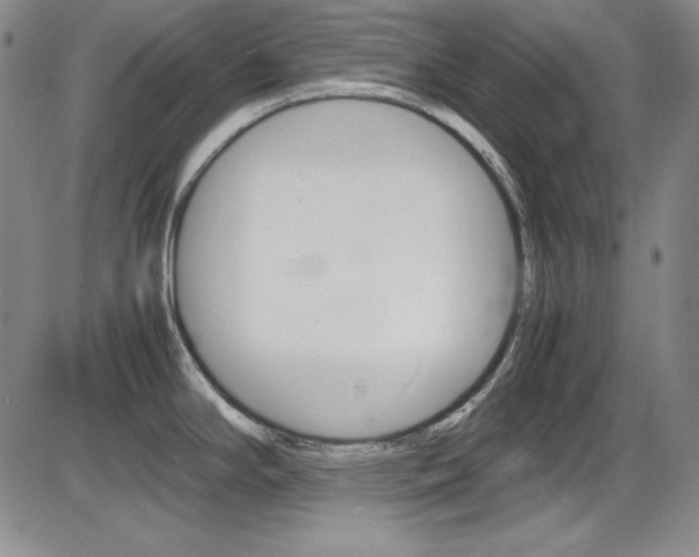 X0000086341294200703300947