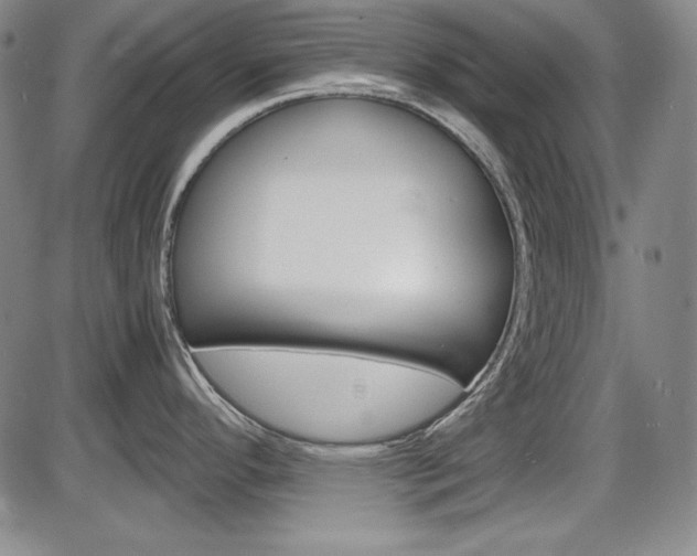 X0000086341296200703300947