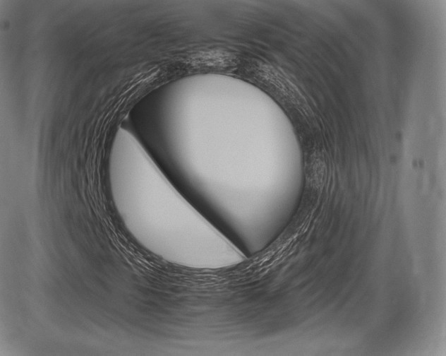 X0000086341297200703300946