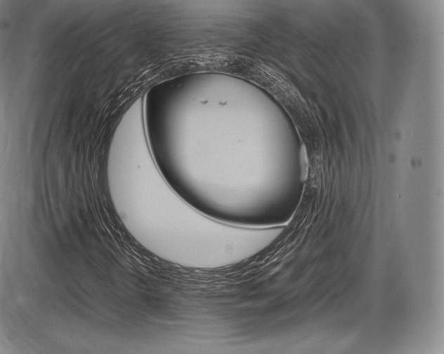 X0000086341298200703300946
