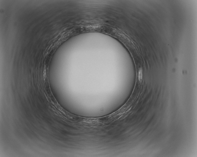X0000086341299200703300946