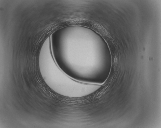 X0000086341300200703300946