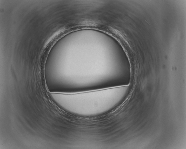 X0000086341307200703300946