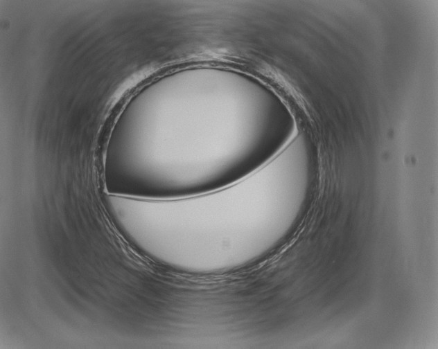X0000086341308200703300946