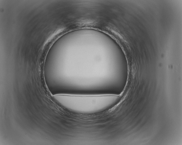 X0000086341309200703300946