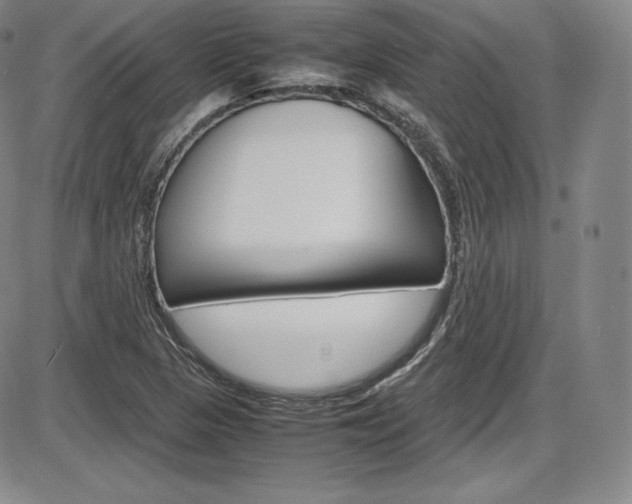 X0000086341313200703300946