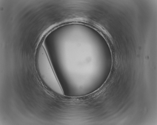 X0000086341316200703300946